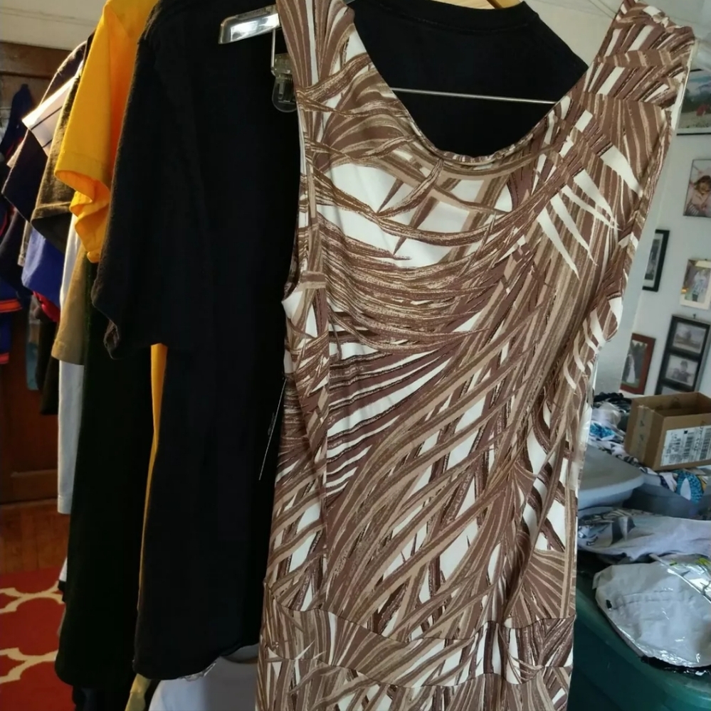 New York And Company Ladies Dress Size Small Stretch  Nwt Bamboo Print